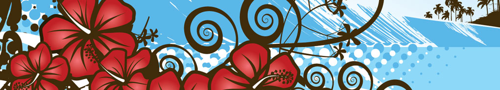 banner-Hawaii